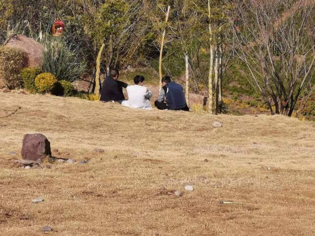 5.大瀑沟谷底公园游玩群众坐在草坪上玩耍、晒太阳.jpg